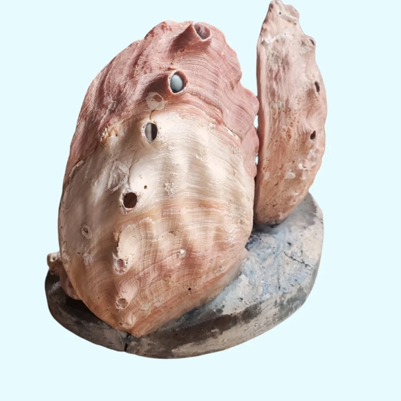 Large vintage seashell diorama / TV lamp - Picture 7 of 7